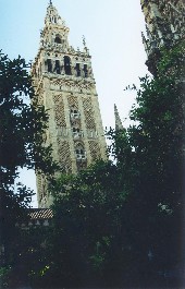 La Giralda prise depuis son orangeraie.